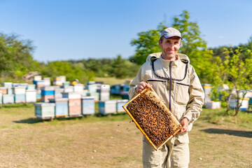 Beekeeping handsome person working with hives. Male beekeeper with wooden frame for farming honey.