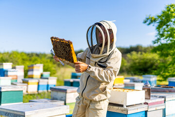 Honeycombs farming sweet honey. Beekeeper in protective costume.