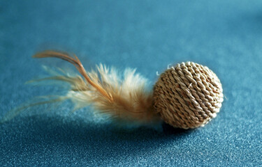 cat toy with a feather on a blue background