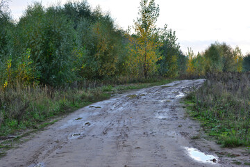 dirty country road with tire tracks and puddles in rainy day, close-up