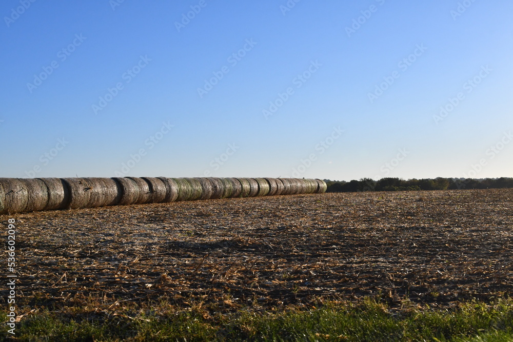 Poster Hay Bales in a Farm Field