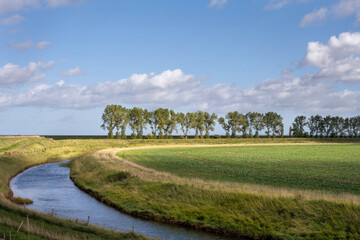 Landscape in the Fens, channel, field and trees on an autumn day, Lincolnshire, East Midlands, England