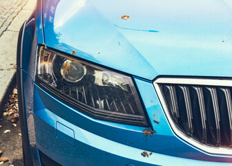 Fototapete bei efototapeten.de bestellen   