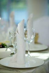 A napkin in a plate. Decoration for the table before the reception. The art of folding napkins into beautiful shapes.