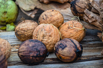 The Autumn harvest of nuts in the garden, lie on an old board.