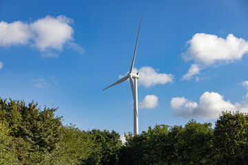 Fototapeta na wymiar Windmill at Østergård main farm Limfjorden, Denmark, Europe