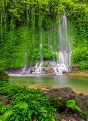 the view of a waterfall in a green and refreshing tropical forest