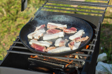 natural light. barbecue. a frying pan is used for cooking. fire. firewood. Picnic