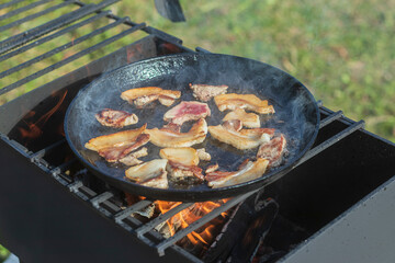 natural light. barbecue. a frying pan is used for cooking. fire. firewood. Picnic