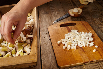 Forest mushrooms on the table	