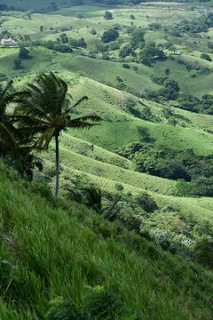 Vertical shot of the mountain in Miches, Dominican Republic