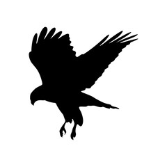 Common Buzzard bird silhouette isolated on white background. vector illustration