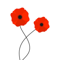 Red Poppy Vector. red poppies flowers growing isolated on white background. Vector illustration.