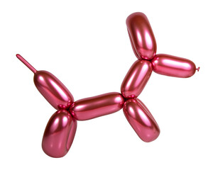 Fun craft balloon dog party isolated on the white background