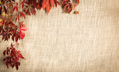 background of coarse linen fabric with a vignette of bright autumn leaves