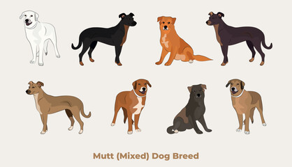 Mixed breed, dog mutt drawing. Cute dog characters in various poses, designs for prints adorable and cute mongrel cartoon vector set, in different poses. All popular colors. Terrier symbol.