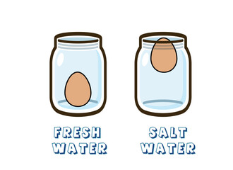 salt and egg experiment