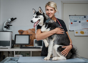 Fototapeta na wymiar Portrait of blond haired glad veterinarian woman hugging husky dog in veterinary clinic.