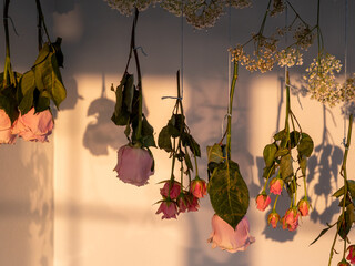 hanging flowers 