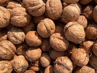 a heap of brown walnuts