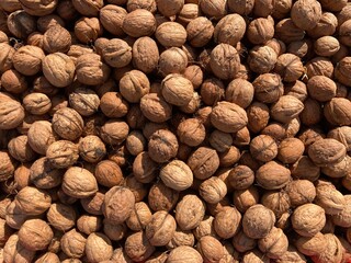 a heap of brown walnuts