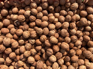 a heap of brown walnuts