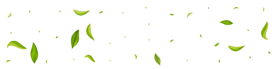 Swamp Greens Realistic Vector White Panoramic