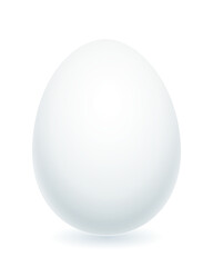 Bird egg illustration
