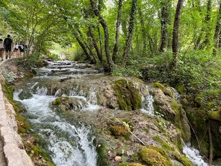 waterfall in the forest