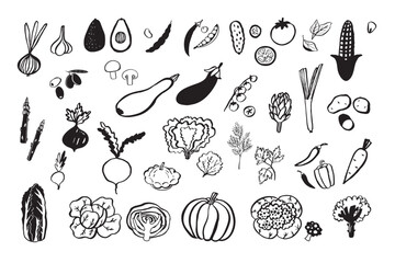 Vegetables healthy food vector illustrations set.