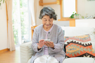 自宅で孫とテレビ電話をするシニア女性