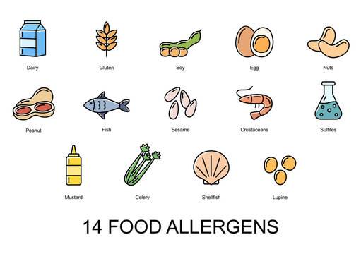 14 Food Allergens. Set Of Color Icons Of Basic Allergens . Vector Illustration