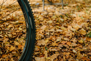 Koło roweru na jesiennych liściach - obrazy, fototapety, plakaty