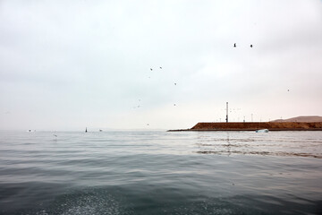 The Ballestas Islands are a group of islands near the city of Pisco, in Peru. They are made up of rock formations where an important marine fauna is found, with guano birds such as the guanay, the boo © max