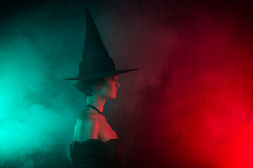 Profile side photo of lady magician look copyspace wait for hogwarts sorting isolated color bright color background