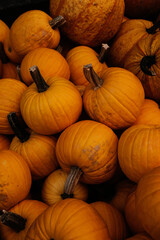Pile of Pumpkins