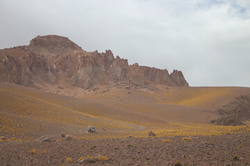 Desert landscape of northwestern Argentina