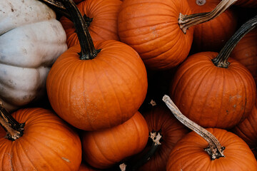 pumpkins on a table