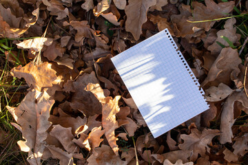 Autumn stationery composition with brown craft sketchbook on fallen leaves background. White blank card on the autumn background with fallen leaves. Mock up. Top view. Flat lay.