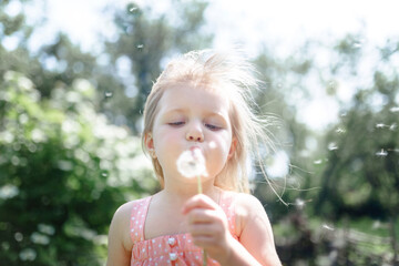 A little blonde girl in a pink sundress blows on a dandelion at sunset on a summer evening