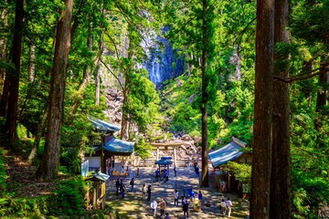 世界遺産熊野古道　飛瀧神社の鳥居と那智の滝
