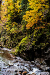 Obraz premium Herbstliche Breitbachklamm