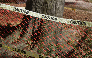 caution tape, orange construction fence, and tree trunk