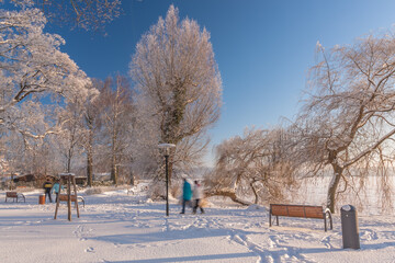 Wintertag am Kietz in Waren Müritz mit Raureif