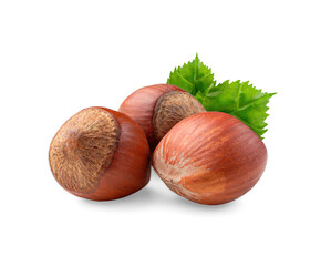 Group of hazelnuts with green leaves isolated on white background
