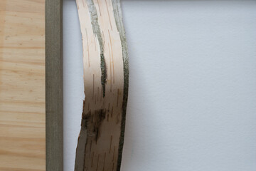 length of birch bark set inside a framed panel with copy space