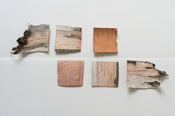 six pieces of cut birch bark on paper with creases or folds