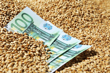 Wheat grains with euro banknotes, closeup. Global food crisis concept