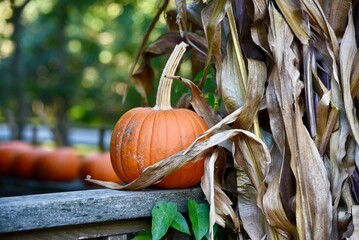Single, orange pumpkin sitting on a wooden railing.