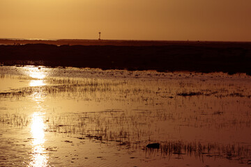 A golden sunset in san diego